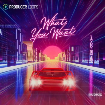 Producer Loops What You Want MULTiFORMAT-DECiBEL