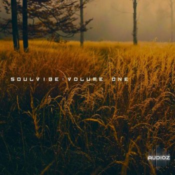 KAN Samples Soulvibe Vol.1 WAV