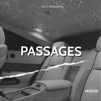 Loops 4 Producers Passages WAV