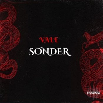 Loops 4 Producers Sonder WAV