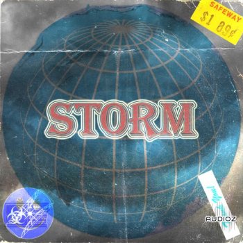 Loops 4 Producers Storm WAV