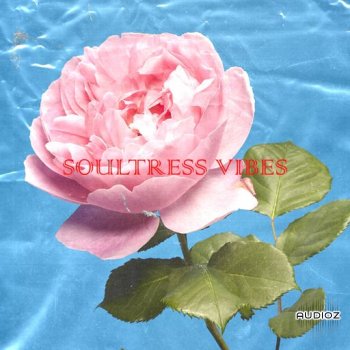 Loops 4 Producers Soultress WAV-FANTASTiC