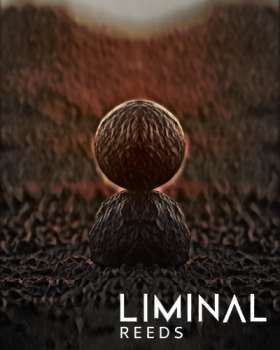 Crocus Soundware LIMINAL Reeds KONTAKT