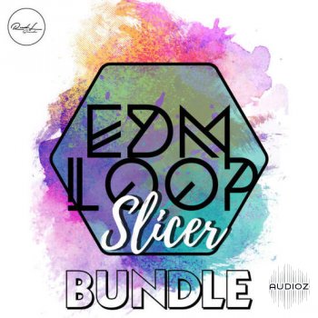 Roundel Sounds EDM Loop Slicer Bundle WAV-DECiBEL screenshot