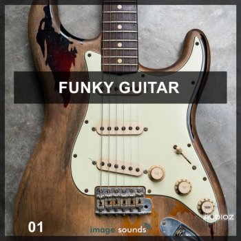 Steinberg Funky Guitar 1 VSTSOUND