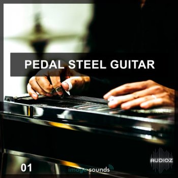 Steinberg Pedal Steel Guitar VSTSOUND