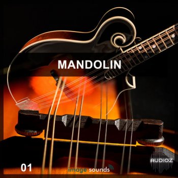Steinberg Mandolin VSTSOUND
