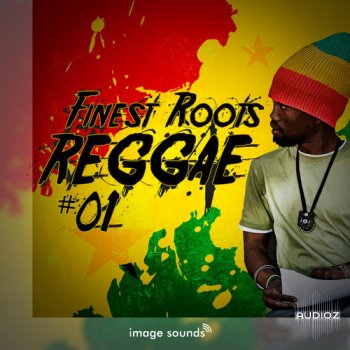 Steinberg Finest Roots Reggae 1 VSTSOUND