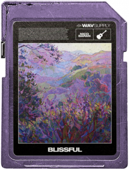 WavSupply Nico Baran Blissful (Guitar Loop Kit) WAV-FANTASTiC