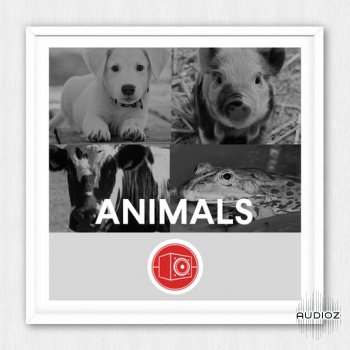 Big Room Sound Animals WAV-FANTASTiC