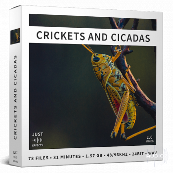 Just Sound Effects Crickets and Cicadas WAV