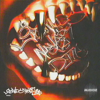 Bsterthegawd WHY NOT KILL? Drumkit WAV