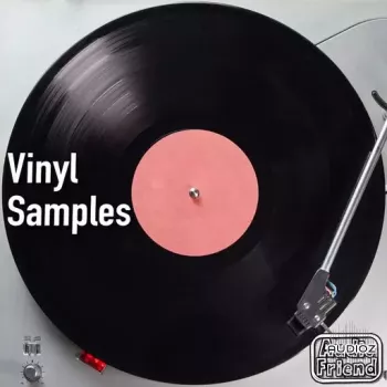AudioFriend Vinyl Samples WAV