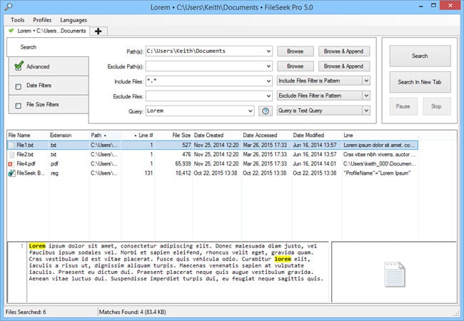 FileSeek Pro 6.1.1 Multilingual