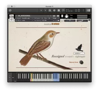 Loops De La Creme Songbird Virtuoso for Kontakt