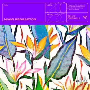 Splice Originals – Miami Reggaeton WAV