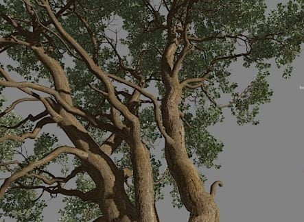 Blender Addons Bundle 1 February 2023