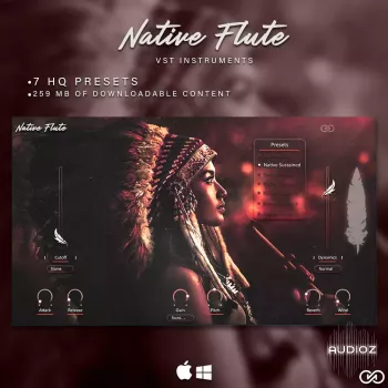 Infinite Audio Native Flute VST3/AU