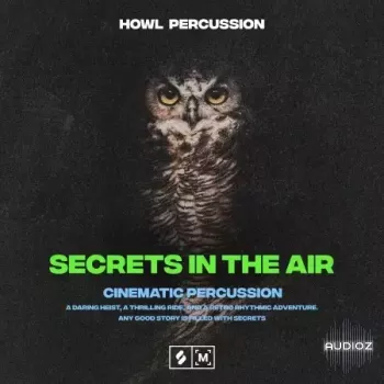 Montage By Splice Secrets In The Air Cinematic Percussion WAV-FANTASTiC