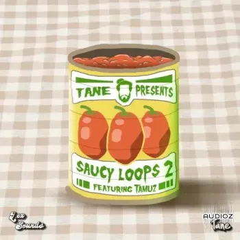 LEX Sounds Saucy Loops 2 WAV-FANTASTiC