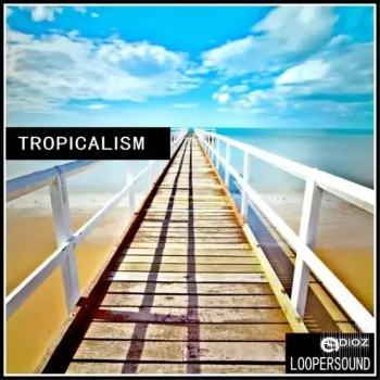 Loopersound Tropicalism WAV MIDI-DECiBEL