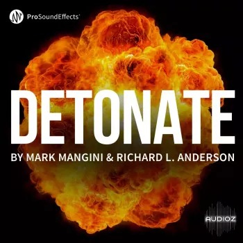 Pro Sound Effects : Detonate Surround WAV