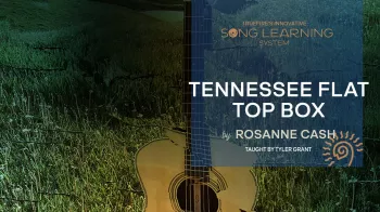 Truefire Tyler Grant's Tennessee Flat Top Box Tutorial screenshot