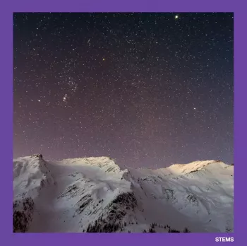 Soul Surplus Daydream Sample Pack Vol.2 (Compositions And Stems) WAV