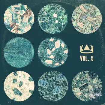 Kingsway Music Library Vol. 5 (Compositions and Stems) WAV-FANTASTiC