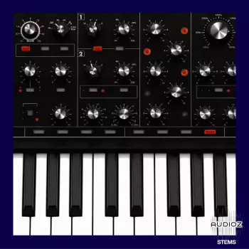 Soul Surplus Synth Pack Vol.2 (Compositions And Stems) WAV