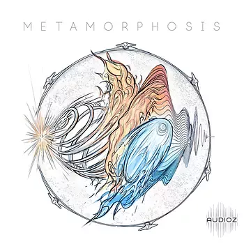 Mattia Cellotto Metamorphosis WAV