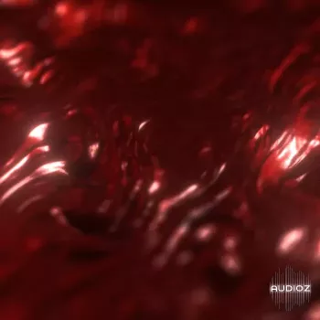 clvr + blood stashkit (Extra Loops) WAV MiDi FST-FANTASTiC