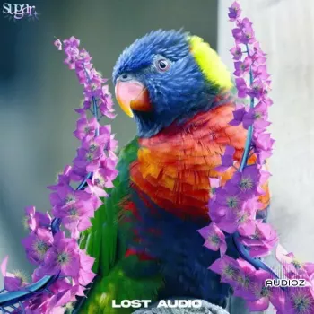 Lost Audio Sugar Sample Collection WAV MiDi-FANTASTiC  screenshot