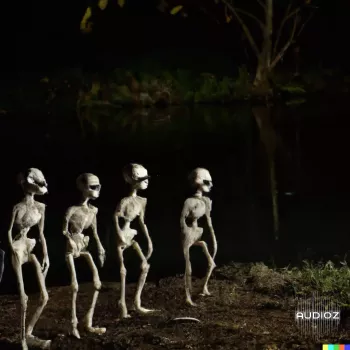 gyard Skeletons by Gyard WAV-FANTASTiC