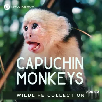 Pro Sound Effects Wildlife Collection Capuchin Monkeys WAV-FANTASTiC