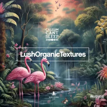 Black Octopus Sound Lush Organic Textures By CallumCantSleep WAV-GTA