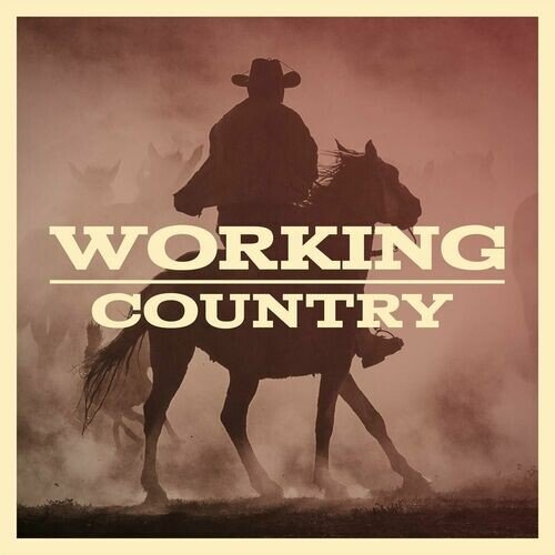VA – Working Country (2023)