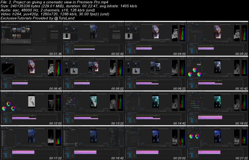 Professional Project Based Graphics Design & Video Editing