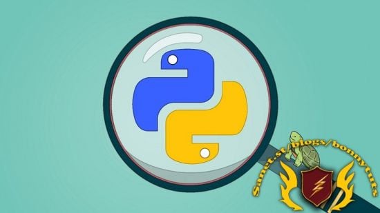 Python & Turtle: A Practical Guide for Beginners and Beyond