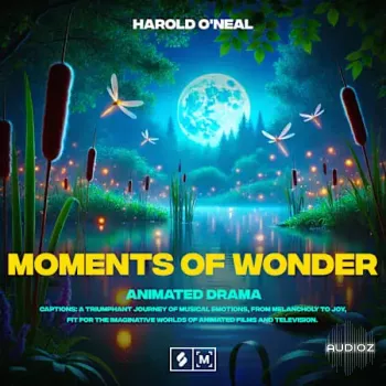 Montage by Splice Moments of Wonder: Animated Drama WAV-FANTASTiC