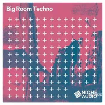 Niche Audio Big Room Techno MULTiFORMAT-FANTASTiC