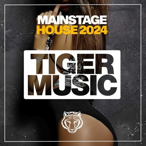 VA – Mainstage House 2024 (2024)