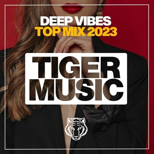 VA – Deep Vibes Top Mix 2023