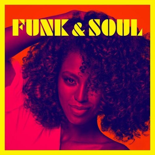 VA – Funk Soul (2024) FLAC/MP3