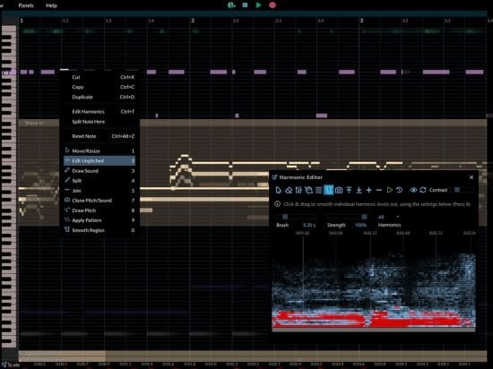 Hit 'n' Mix RipX DAW PRO v7.0.2 WiN