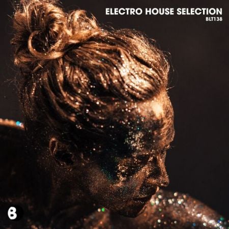 Various Artists – Electro House Selection (2024)