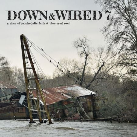 Various Artists – Down & Wired 7 (2024)