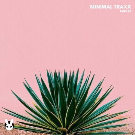 Various Artists – Minimal Traxx (2024)