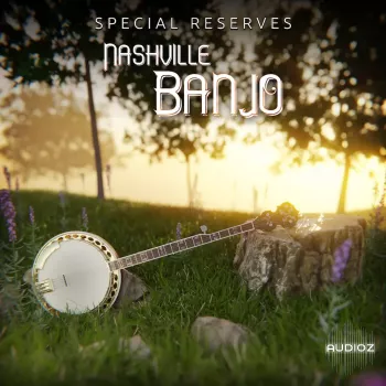 Impact Soundworks Special Reserves - Nashville Banjo KONTAKT screenshot