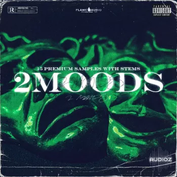 Flame Audio 2moods: Emotional Stems WAV MiDi-FANTASTiC